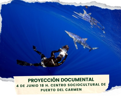 Proyección Espejo líquido