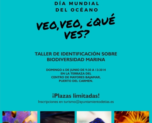 Veo veo qué ves 2021