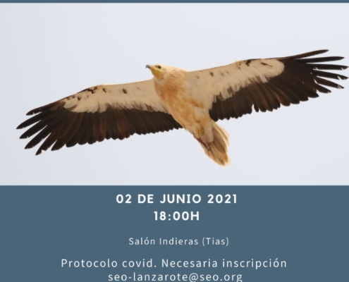 charla guirre en canarias